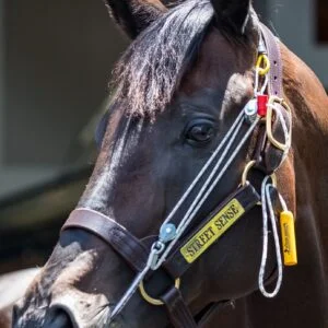 The Stableizer